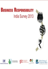 Business Responsibility India Survey 2013