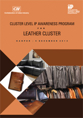 Report on Cluster Level IP Awareness Program for Leather Cluster 
