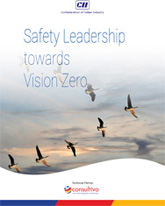 Safety Leadership Towards Vision Zero